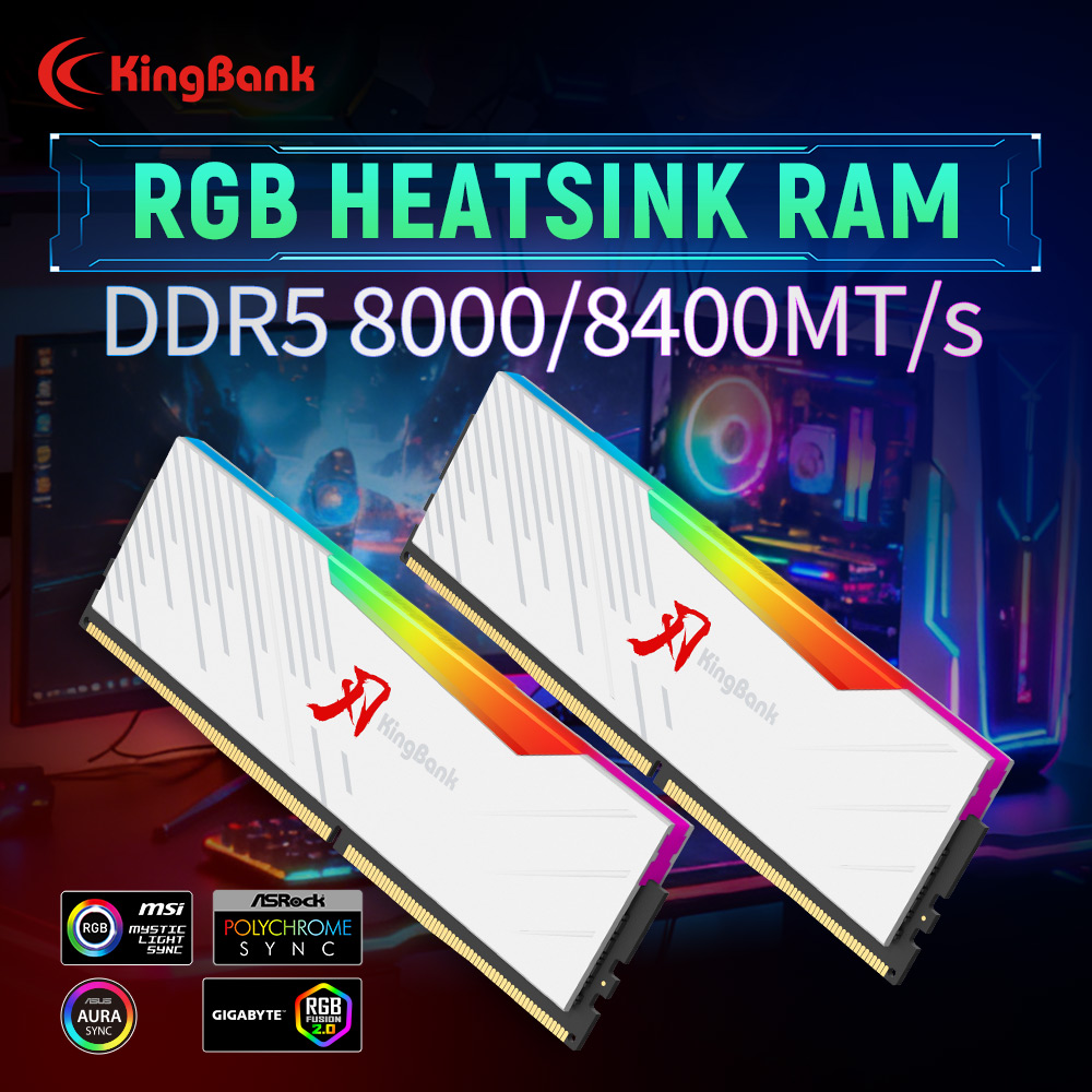 KINGBANK KRRW DDR5 RAM 48GB (2 - Ddr5 4800Mhz recensie en prijs